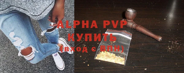 хмурый Новозыбков