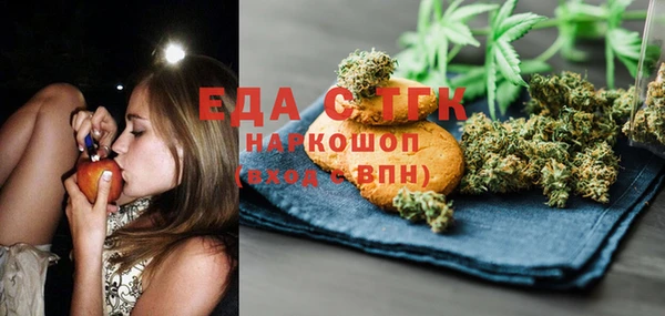 хмурый Новозыбков