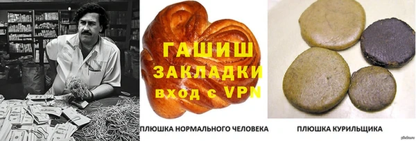 хмурый Новозыбков