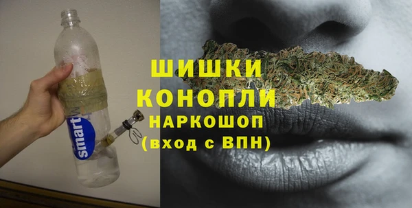 хмурый Новозыбков