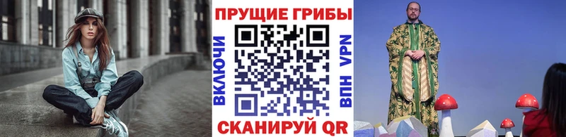 Псилоцибиновые грибы Psilocybe  сколько стоит  Пошехонье 