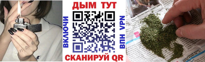 дарк нет состав  Пошехонье  Бошки Шишки SATIVA & INDICA  как найти наркотики 